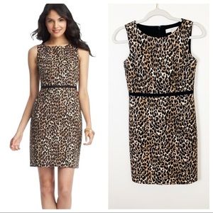 EUC Ann Taylor Loft Leopard Print Dress Size 00P